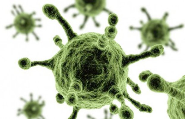 Alertă în SUA: Primul caz de contaminare cu coronavirusul MERS